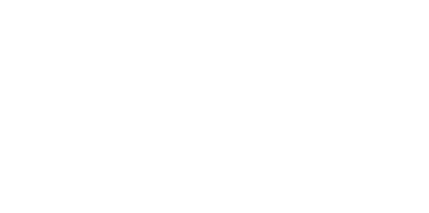 Boston Scientific